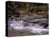 Creek and Ozarks, Montana, USA-Gayle Harper-Stretched Canvas