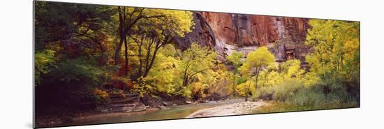 Creek at Sunset, Death Valley, California, USA-null-Mounted Photographic Print