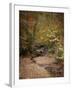 Creek Bed in Autumn-Jai Johnson-Framed Giclee Print