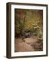 Creek Bed in Autumn-Jai Johnson-Framed Giclee Print