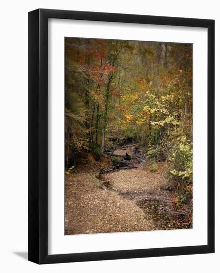 Creek Bed in Autumn-Jai Johnson-Framed Giclee Print