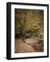 Creek Bed in Autumn-Jai Johnson-Framed Giclee Print