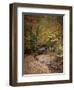 Creek Bed in Autumn-Jai Johnson-Framed Premium Giclee Print