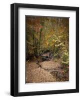 Creek Bed in Autumn-Jai Johnson-Framed Premium Giclee Print