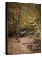 Creek Bed in Autumn-Jai Johnson-Stretched Canvas