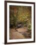 Creek Bed in Autumn-Jai Johnson-Framed Giclee Print