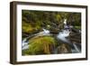 Creek cascading over rocks and moss, Canmore Creek, Canmore, Alberta, Canada-null-Framed Photographic Print