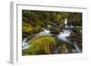 Creek cascading over rocks and moss, Canmore Creek, Canmore, Alberta, Canada-null-Framed Photographic Print