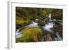 Creek cascading over rocks and moss, Canmore Creek, Canmore, Alberta, Canada-null-Framed Photographic Print