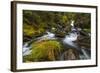 Creek cascading over rocks and moss, Canmore Creek, Canmore, Alberta, Canada-null-Framed Photographic Print