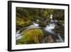 Creek cascading over rocks and moss, Canmore Creek, Canmore, Alberta, Canada-null-Framed Photographic Print