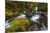 Creek cascading over rocks and moss, Canmore Creek, Canmore, Alberta, Canada-null-Mounted Photographic Print