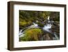 Creek cascading over rocks and moss, Canmore Creek, Canmore, Alberta, Canada-null-Framed Photographic Print