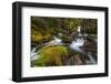 Creek cascading over rocks and moss, Canmore Creek, Canmore, Alberta, Canada-null-Framed Photographic Print