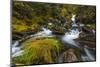 Creek cascading over rocks and moss, Canmore Creek, Canmore, Alberta, Canada-null-Mounted Photographic Print
