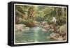 Creek Fishing, Sun Valley, Idaho-null-Framed Stretched Canvas