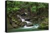 Creek Flowing from a Rainforest Kauai, Hawaii, USA-Jaynes Gallery-Stretched Canvas
