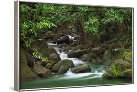 Creek Flowing from a Rainforest Kauai, Hawaii, USA-Jaynes Gallery-Framed Photographic Print