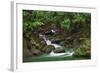 Creek Flowing from a Rainforest Kauai, Hawaii, USA-Jaynes Gallery-Framed Photographic Print