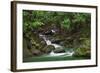 Creek Flowing from a Rainforest Kauai, Hawaii, USA-Jaynes Gallery-Framed Photographic Print