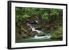 Creek Flowing from a Rainforest Kauai, Hawaii, USA-Jaynes Gallery-Framed Photographic Print