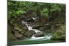 Creek Flowing from a Rainforest Kauai, Hawaii, USA-Jaynes Gallery-Mounted Photographic Print