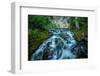 Creek flowing over moss covered rocks, Grassi Lakes Creek, Canmore, Alberta, Canada-null-Framed Photographic Print