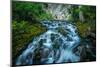 Creek flowing over moss covered rocks, Grassi Lakes Creek, Canmore, Alberta, Canada-null-Mounted Photographic Print