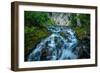 Creek flowing over moss covered rocks, Grassi Lakes Creek, Canmore, Alberta, Canada-null-Framed Photographic Print