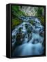 Creek flowing over moss covered rocks, Grassi Lakes Creek, Canmore, Alberta, Canada-null-Framed Stretched Canvas