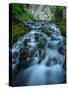 Creek flowing over moss covered rocks, Grassi Lakes Creek, Canmore, Alberta, Canada-null-Stretched Canvas