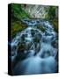 Creek flowing over moss covered rocks, Grassi Lakes Creek, Canmore, Alberta, Canada-null-Stretched Canvas