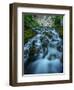 Creek flowing over moss covered rocks, Grassi Lakes Creek, Canmore, Alberta, Canada-null-Framed Photographic Print
