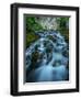 Creek flowing over moss covered rocks, Grassi Lakes Creek, Canmore, Alberta, Canada-null-Framed Photographic Print