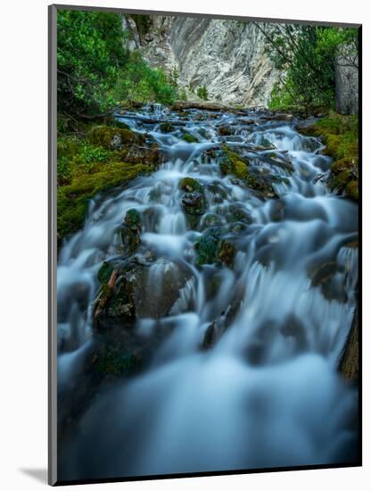 Creek flowing over moss covered rocks, Grassi Lakes Creek, Canmore, Alberta, Canada-null-Mounted Photographic Print