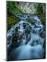 Creek flowing over moss covered rocks, Grassi Lakes Creek, Canmore, Alberta, Canada-null-Mounted Photographic Print