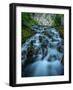 Creek flowing over moss covered rocks, Grassi Lakes Creek, Canmore, Alberta, Canada-null-Framed Photographic Print