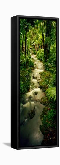 Creek Flowing Through a Rainforest, North of Hilo, Big Island, Hawaii, Usa-null-Framed Stretched Canvas