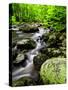 Creek Flows Through Forest, Shenandoah National Park, Virginia, USA-Jay O'brien-Stretched Canvas