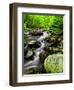 Creek Flows Through Forest, Shenandoah National Park, Virginia, USA-Jay O'brien-Framed Photographic Print