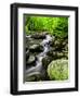 Creek Flows Through Forest, Shenandoah National Park, Virginia, USA-Jay O'brien-Framed Photographic Print