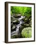 Creek Flows Through Forest, Shenandoah National Park, Virginia, USA-Jay O'brien-Framed Photographic Print