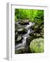 Creek Flows Through Forest, Shenandoah National Park, Virginia, USA-Jay O'brien-Framed Photographic Print