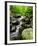 Creek Flows Through Forest, Shenandoah National Park, Virginia, USA-Jay O'brien-Framed Photographic Print