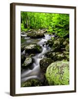 Creek Flows Through Forest, Shenandoah National Park, Virginia, USA-Jay O'brien-Framed Photographic Print