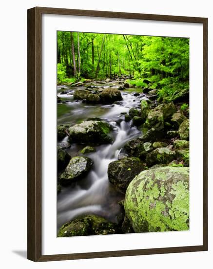 Creek Flows Through Forest, Shenandoah National Park, Virginia, USA-Jay O'brien-Framed Photographic Print