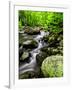 Creek Flows Through Forest, Shenandoah National Park, Virginia, USA-Jay O'brien-Framed Photographic Print