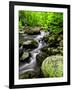 Creek Flows Through Forest, Shenandoah National Park, Virginia, USA-Jay O'brien-Framed Photographic Print