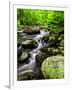 Creek Flows Through Forest, Shenandoah National Park, Virginia, USA-Jay O'brien-Framed Photographic Print