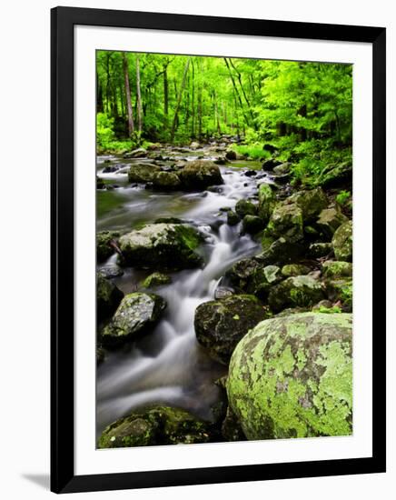 Creek Flows Through Forest, Shenandoah National Park, Virginia, USA-Jay O'brien-Framed Photographic Print